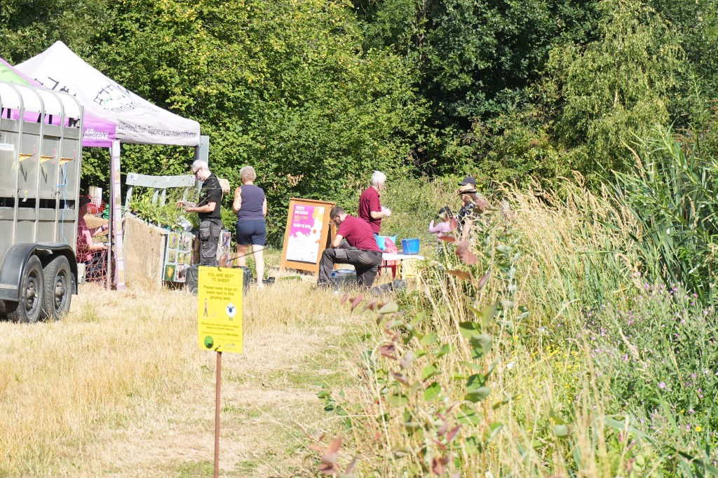 Tice’s Meadow Open&nbsp;Day
