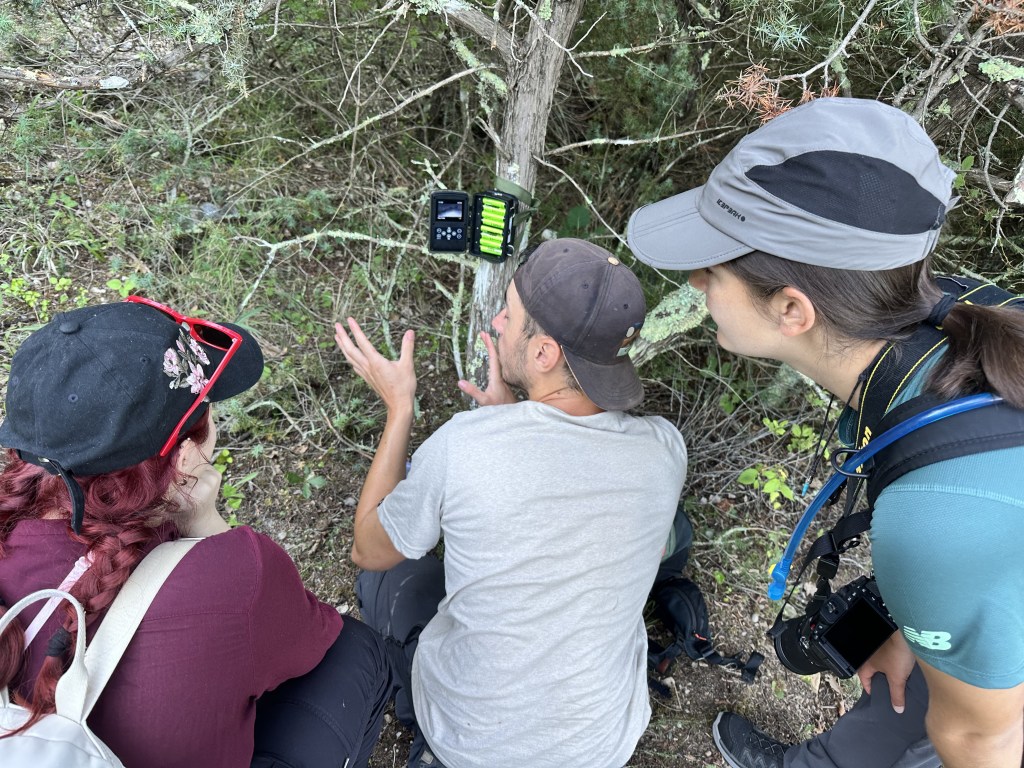 Day 3 – Mammal&nbsp;Tracking